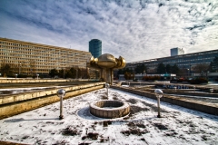 IMG_2255